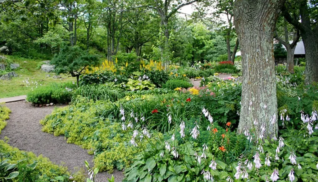 How to Choose the Right Tree for Your Garden Golden Tree Fellers