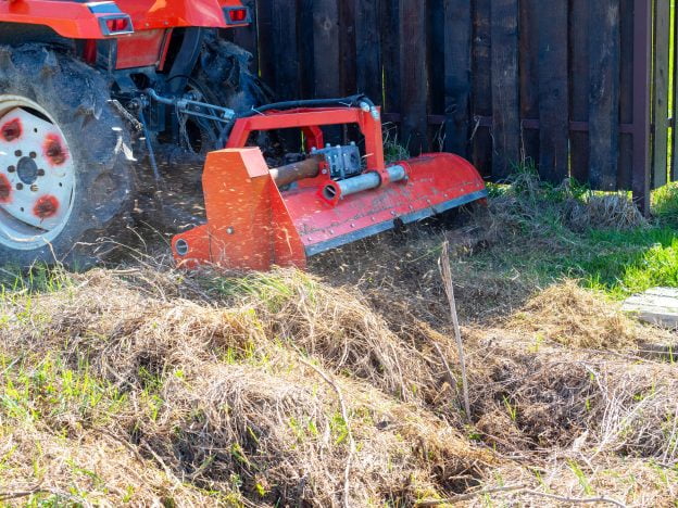 Site Clearing Before You Build: Which Trees Go and Which Stay
