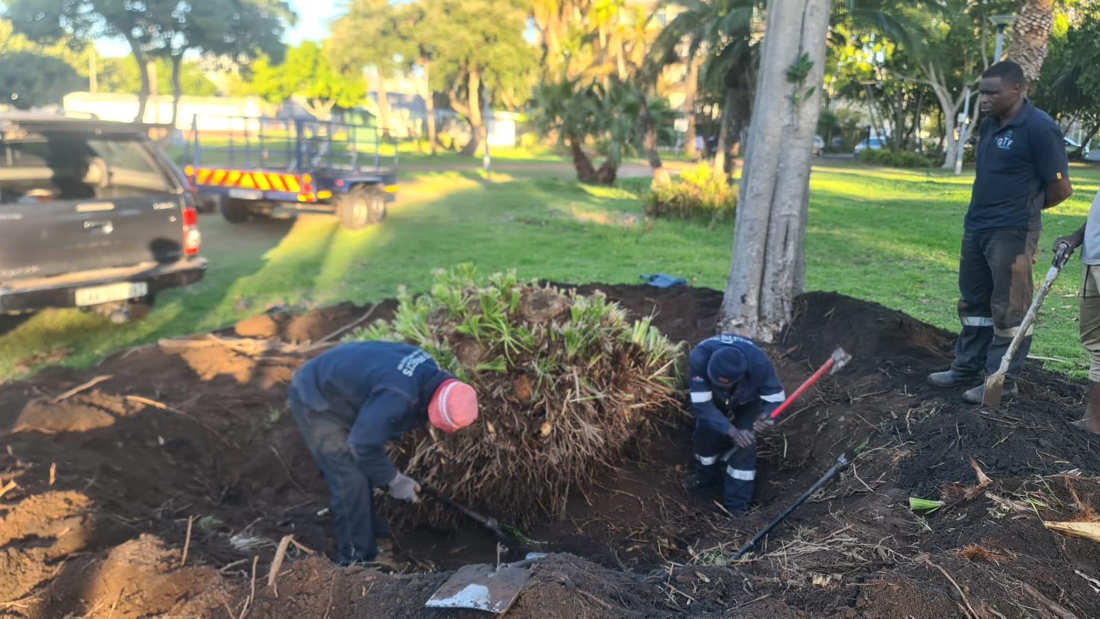 Crew clearing a storm-fallen tree